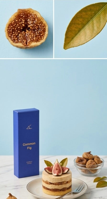 無花果線香 COMMON FIG INCENSE