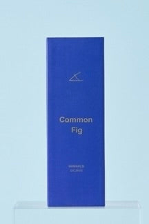 無花果線香 COMMON FIG INCENSE